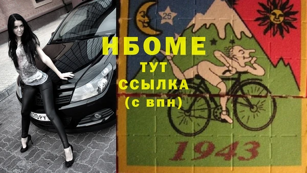 прущие грибы Алексин